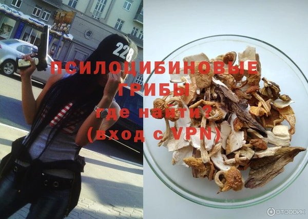 каннабис Новозыбков