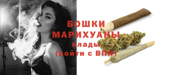 каннабис Новозыбков