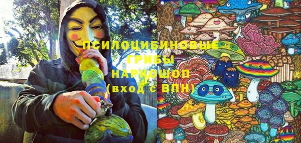 прущие крисы Новодвинск