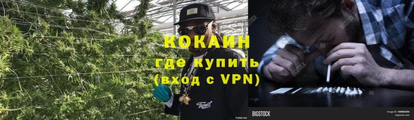 каннабис Новозыбков