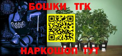 бошки Абакан