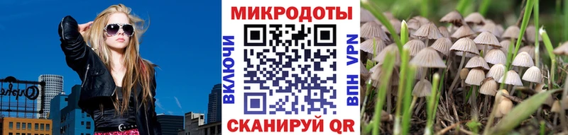 Галлюциногенные грибы мухоморы  Алексин 